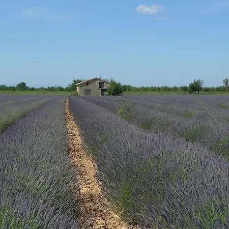 Lou Marcelou - One Apartment