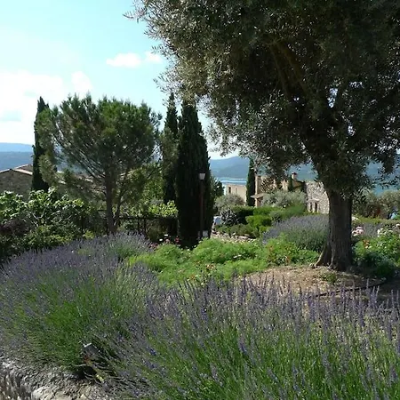 Lou Marcelou - One *