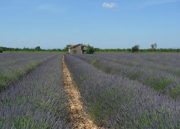 Lou Marcelou - One Apartment